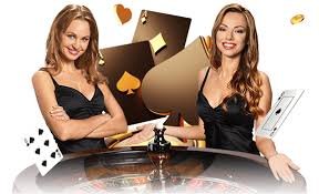 bet667